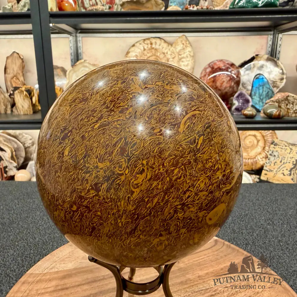 Coquina Jasper Sphere 5.86’’ | Mariam Stone - Sphere