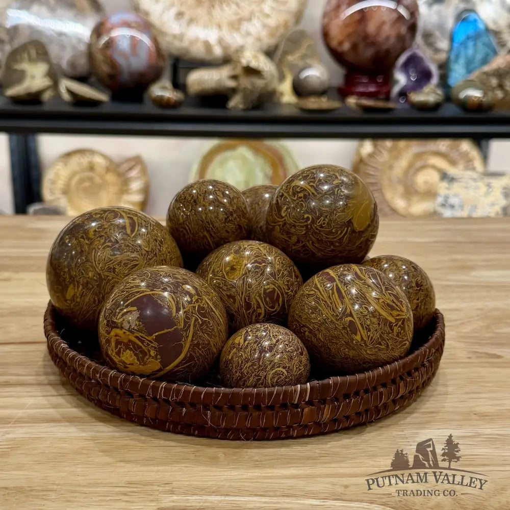 Coquina Jasper Spheres | In Select Sizes Sphere