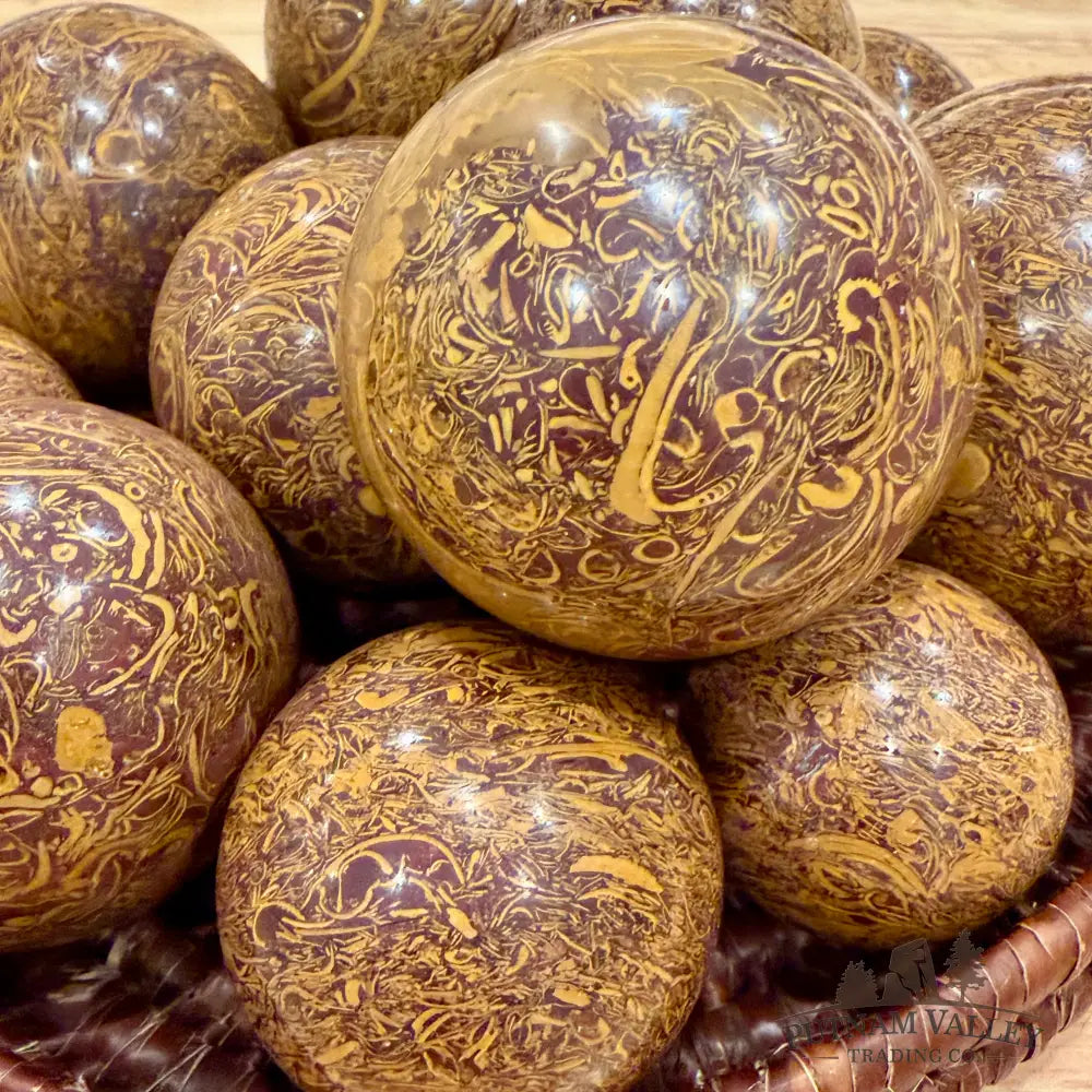 Coquina Jasper Spheres | In Select Sizes Sphere