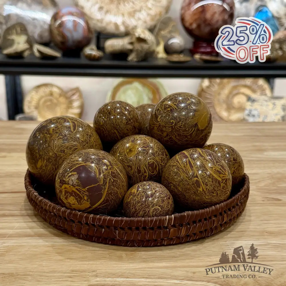 Coquina Jasper Spheres | In Select Sizes Sphere