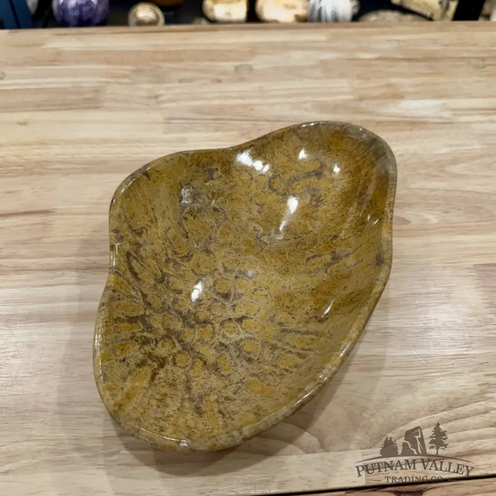 Coral Fossil Bowl 10.68’’ | Morocco - Fossil Bowl