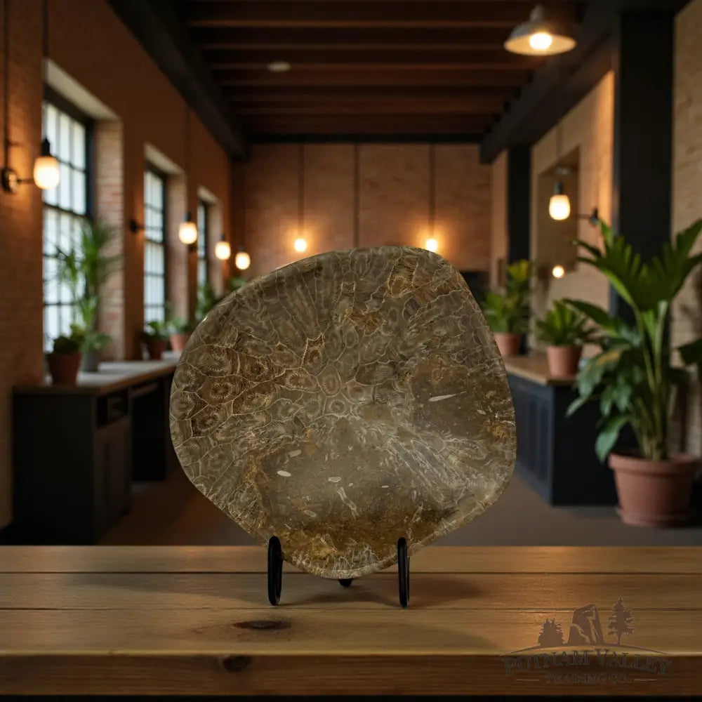 Coral Fossil Bowl Fossil Bowl