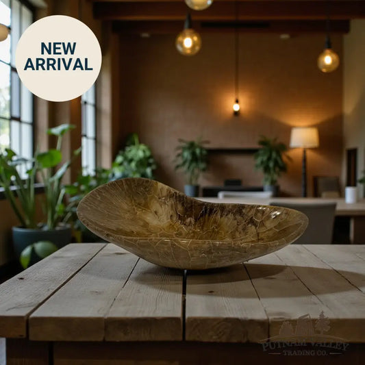 Coral Fossil Bowl Fossil Bowl