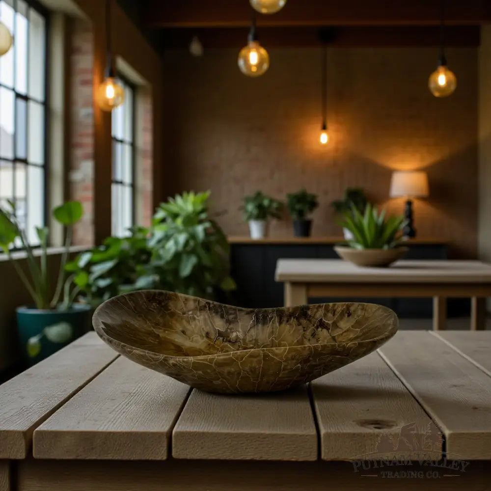 Coral Fossil Bowl Fossil Bowl