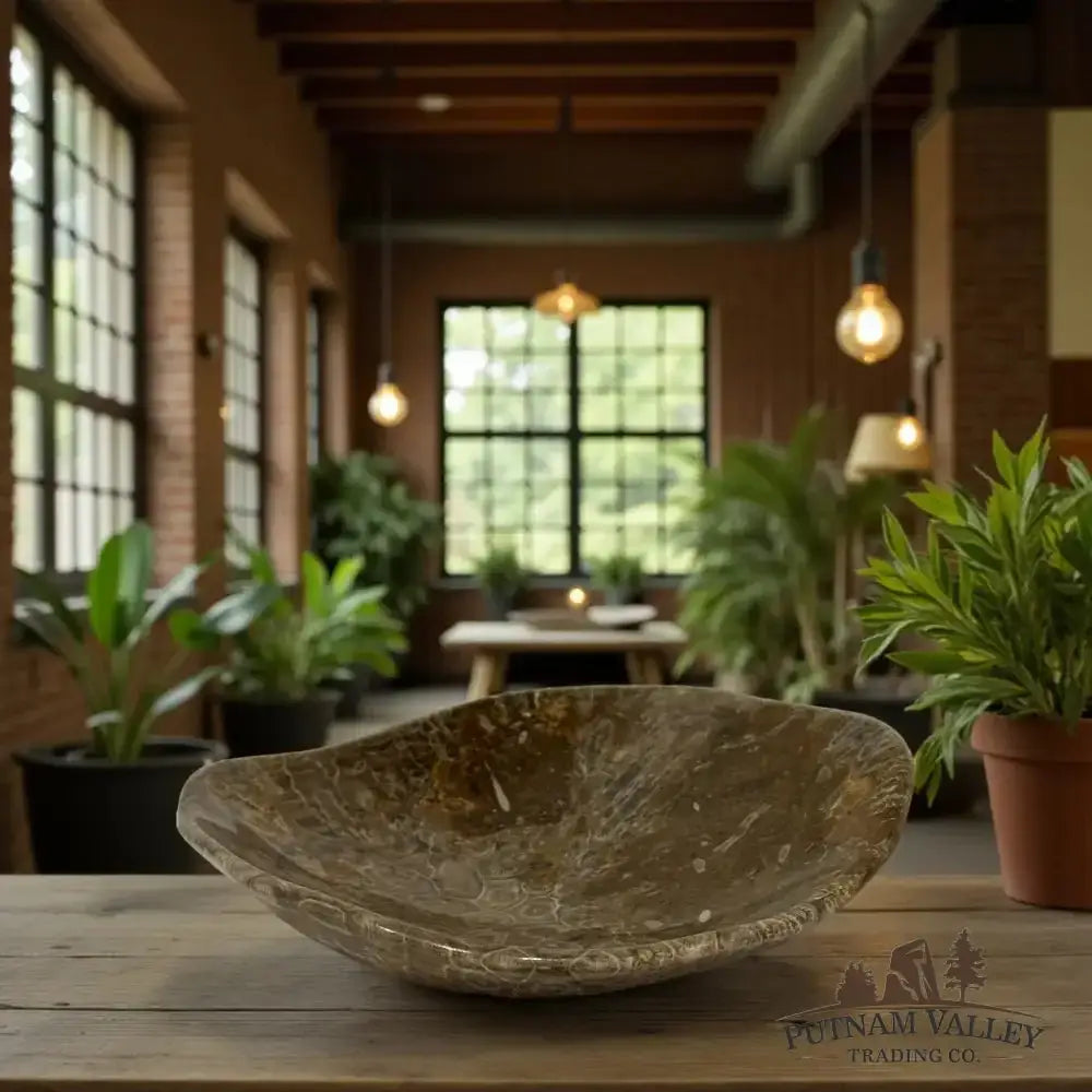 Coral Fossil Bowl - Putnam Valley Trading Co.