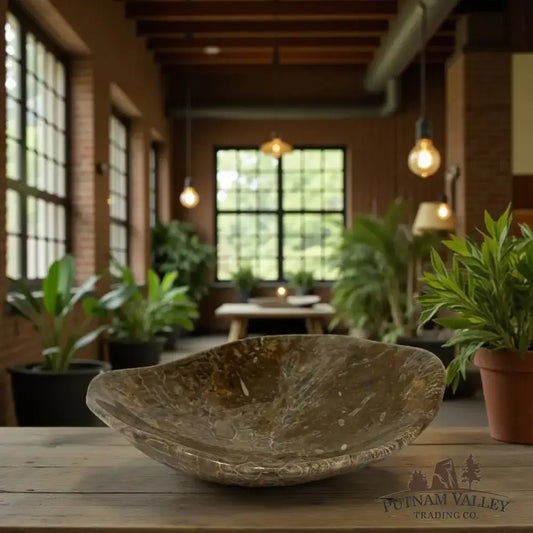 Coral Fossil Bowl - Putnam Valley Trading Co.
