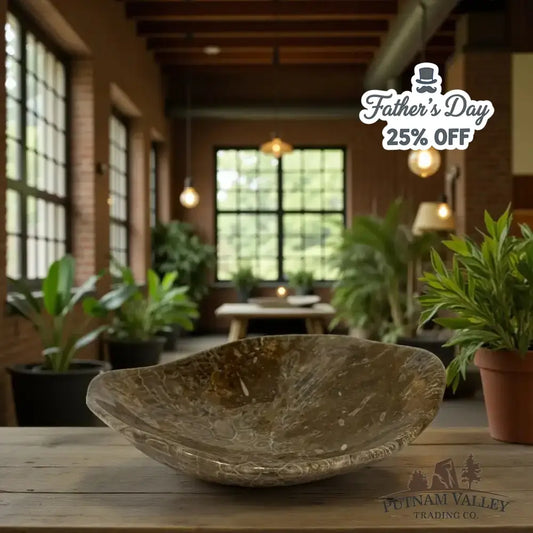 Coral Fossil Bowl - Putnam Valley Trading Co.