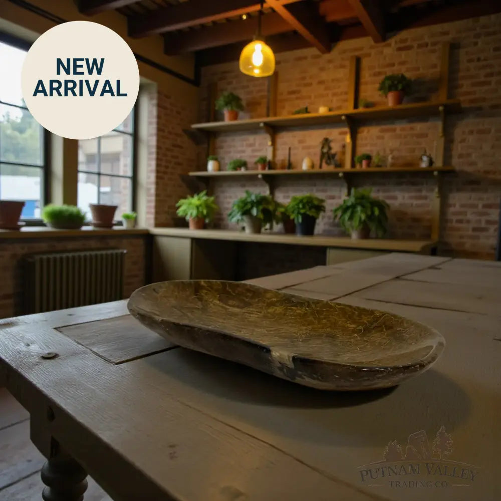 Coral Fossil Bowl Fossil Bowl