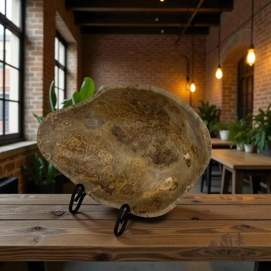 Coral Fossil Bowl Fossil Bowl