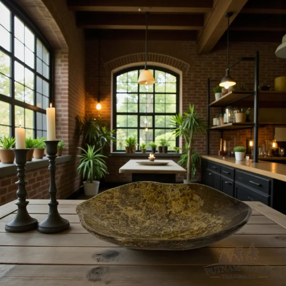 Coral Fossil Bowl Fossil Bowl