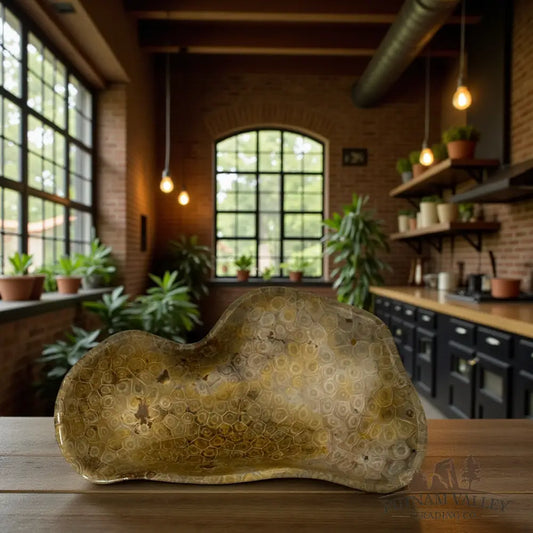 Coral Fossil Bowl Fossil Bowl