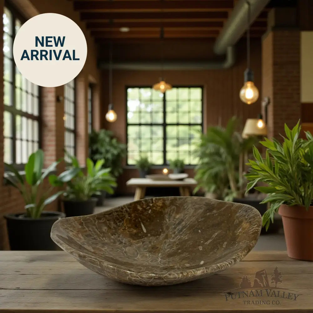 Coral Fossil Bowl Fossil Bowl