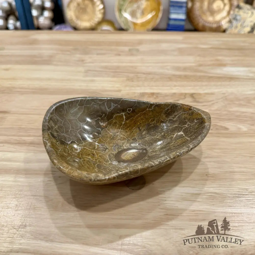 Coral Fossil Bowl 6.17’’ - Fossil Bowl