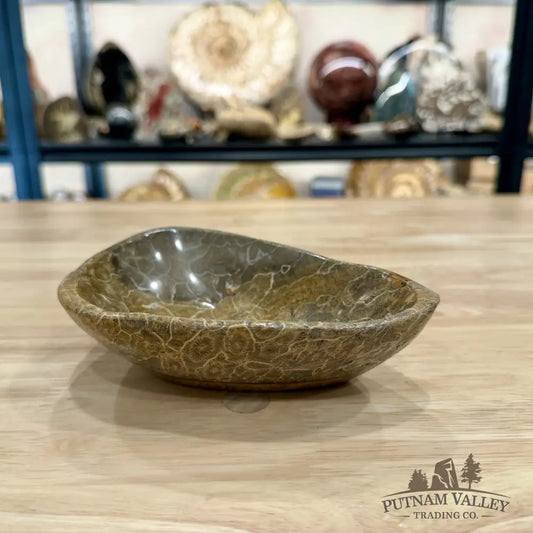 Coral Fossil Bowl 6.17’’ - Fossil Bowl