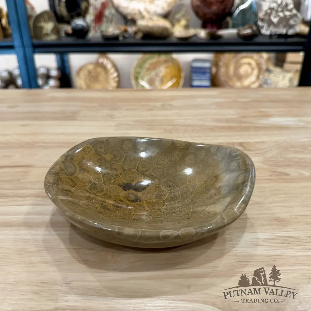 Coral Fossil Bowl 6.44’’ | Morocco - Fossil Bowl