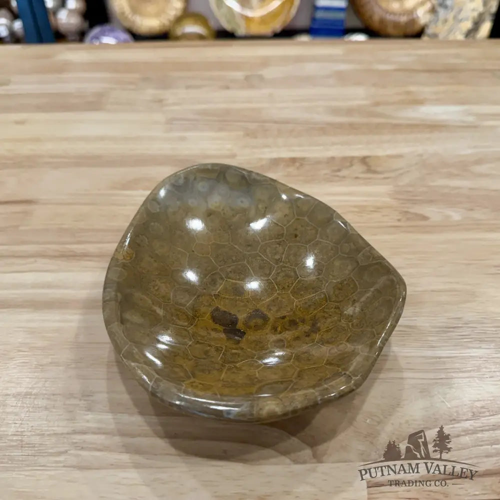 Coral Fossil Bowl 6.44’’ | Morocco - Fossil Bowl