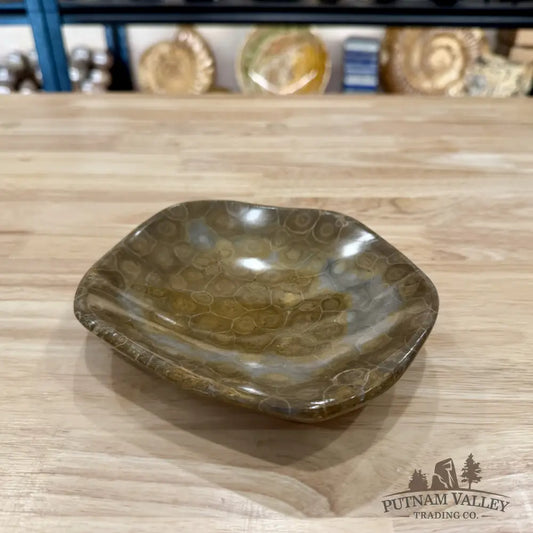 Coral Fossil Bowl 6.58’’ | Morocco - Fossil Bowl