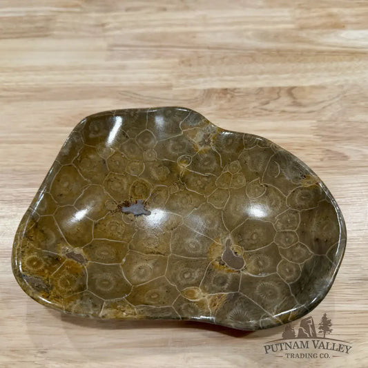 Coral Fossil Bowl 6.85’’ | Morocco - Fossil Bowl