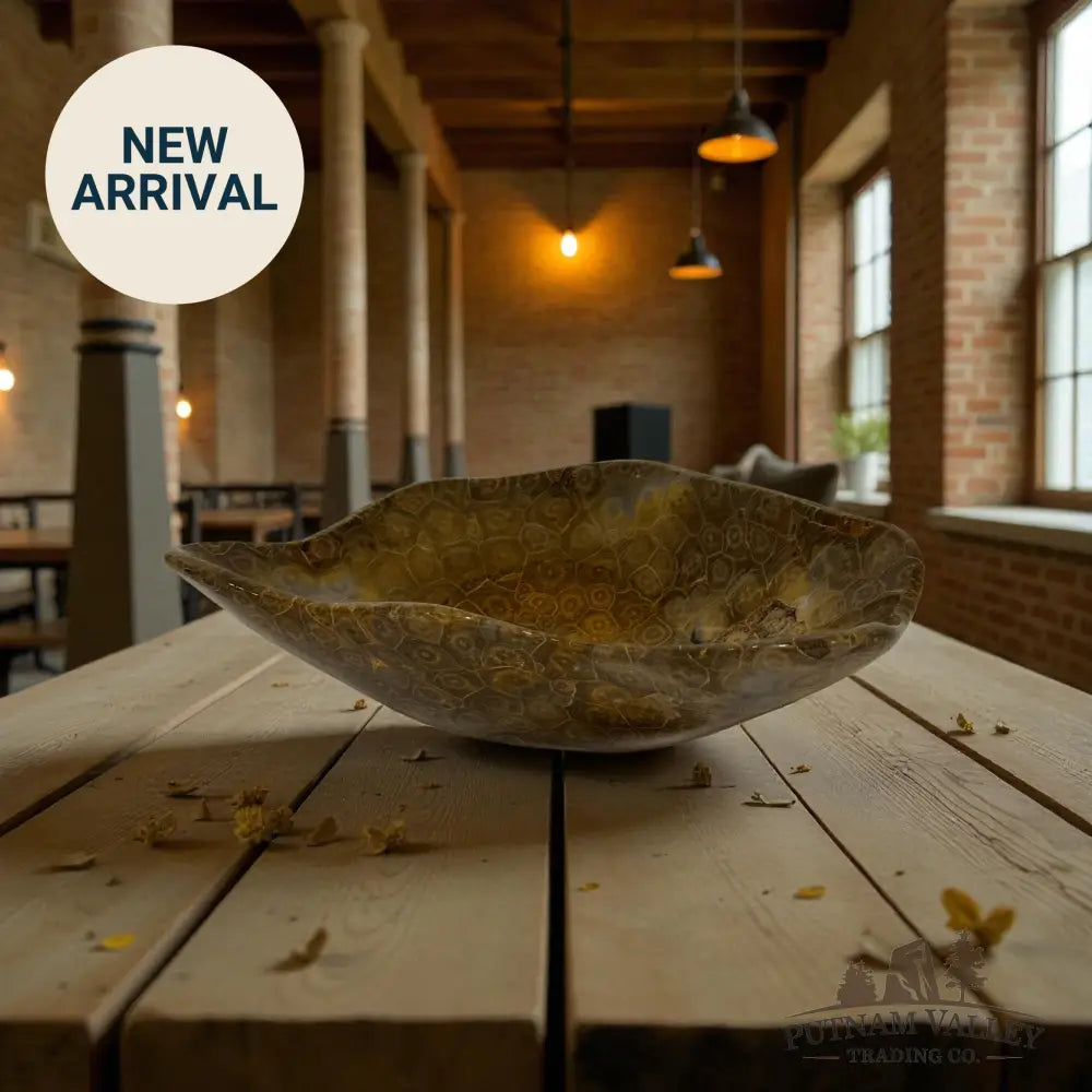 Coral Fossil Bowl Fossil Bowl