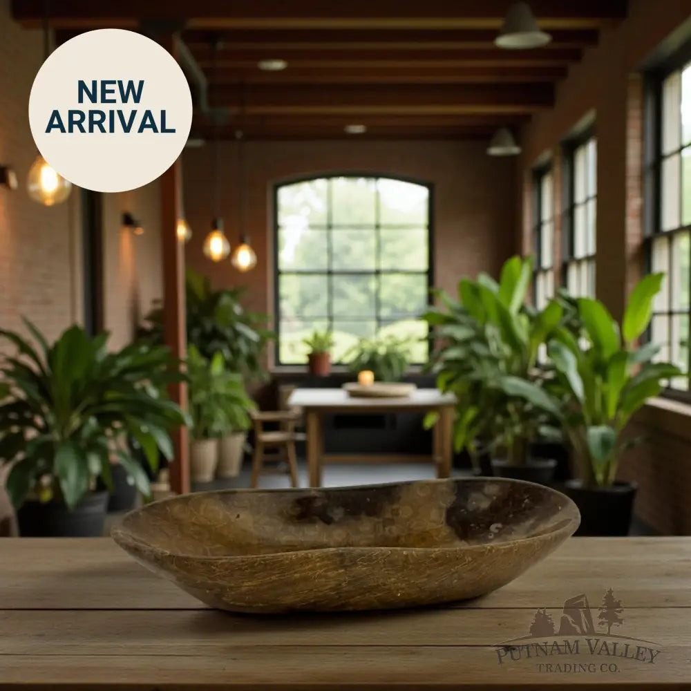 Coral Fossil Bowl Fossil Bowl