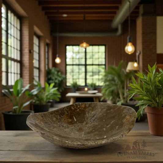 Coral Fossil Bowl Fossil Bowl