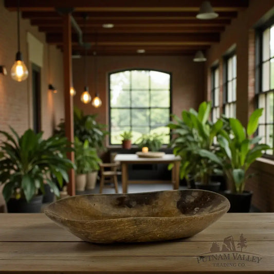 Coral Fossil Bowl Fossil Bowl