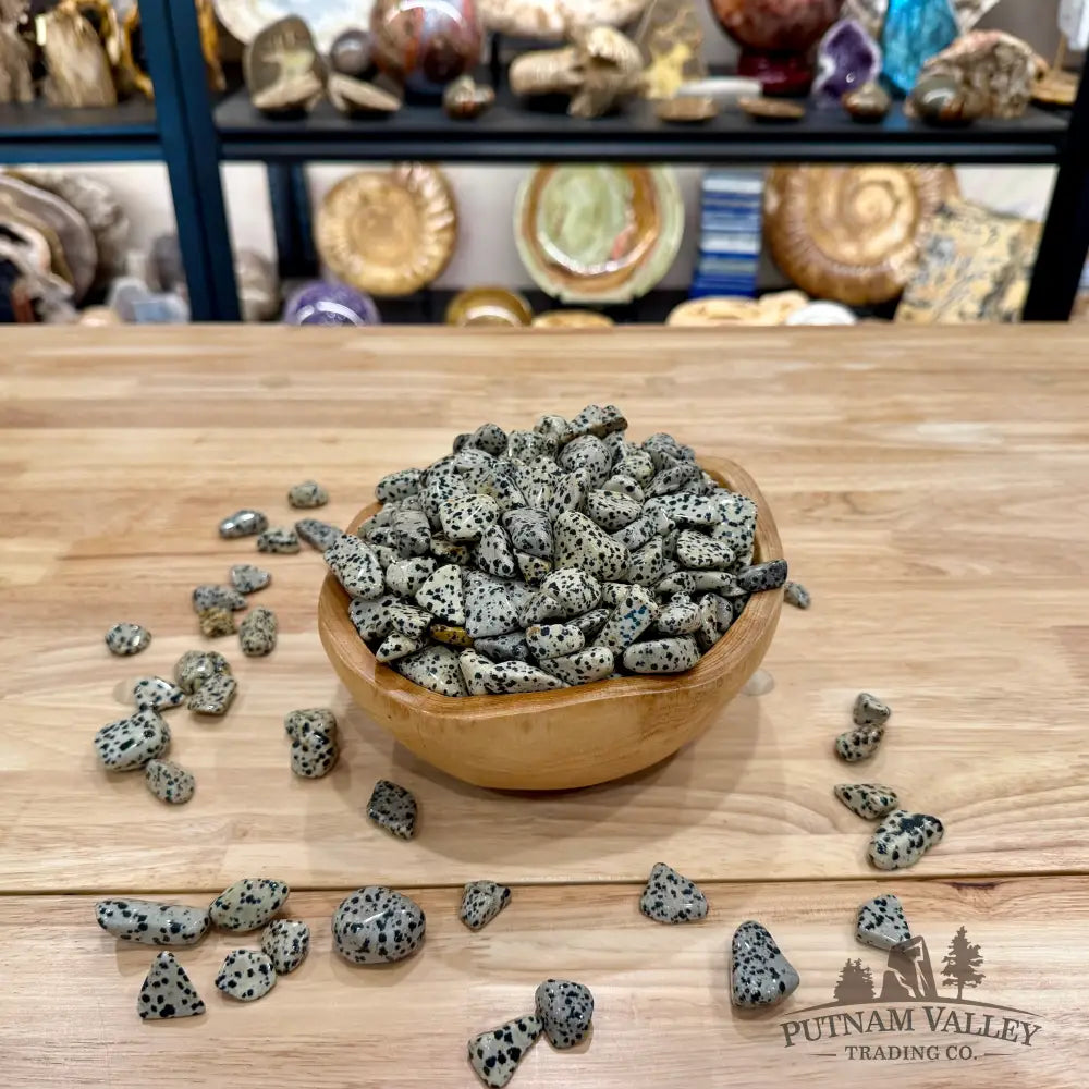 Tumbled Dalmatian Jasper (½ lb) - Tumbled Stone