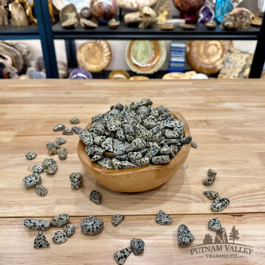 Tumbled Dalmatian Jasper (½ lb) - Tumbled Stone