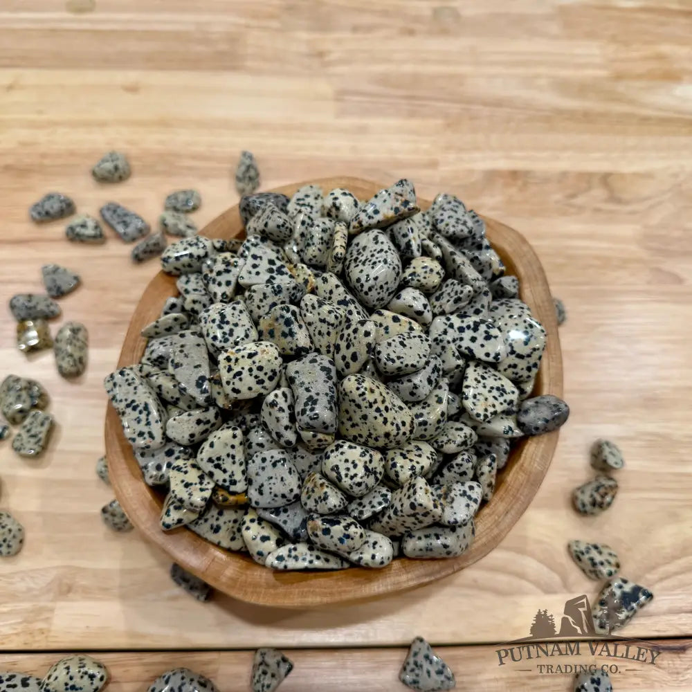 Tumbled Dalmatian Jasper (½ lb) - Tumbled Stone