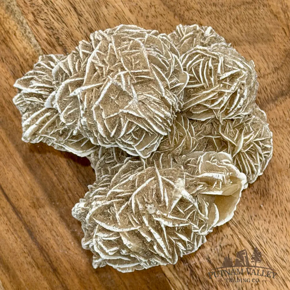 Desert Rose Selenite Cluster 4.6’’ - Accent