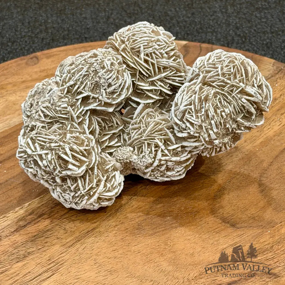Desert Rose Selenite Cluster 5.4’’ - Accent