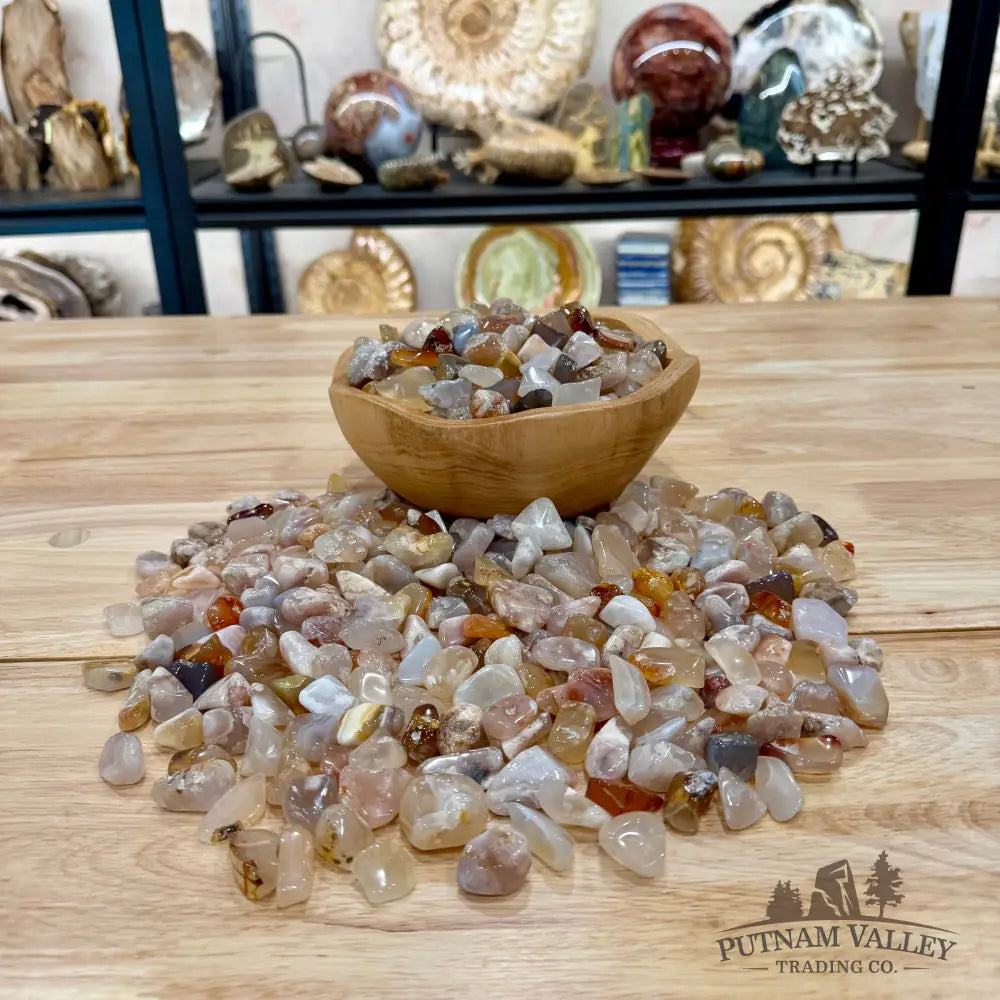 Tumbled Flower Agate (½ lb) | Freeform - Tumbled Stone