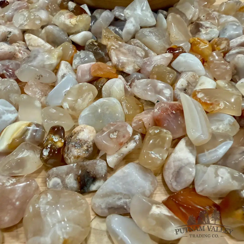 Tumbled Flower Agate (½ lb) | Freeform - Tumbled Stone