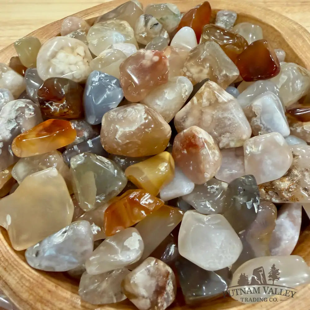 Tumbled Flower Agate (½ lb) | Freeform - Tumbled Stone