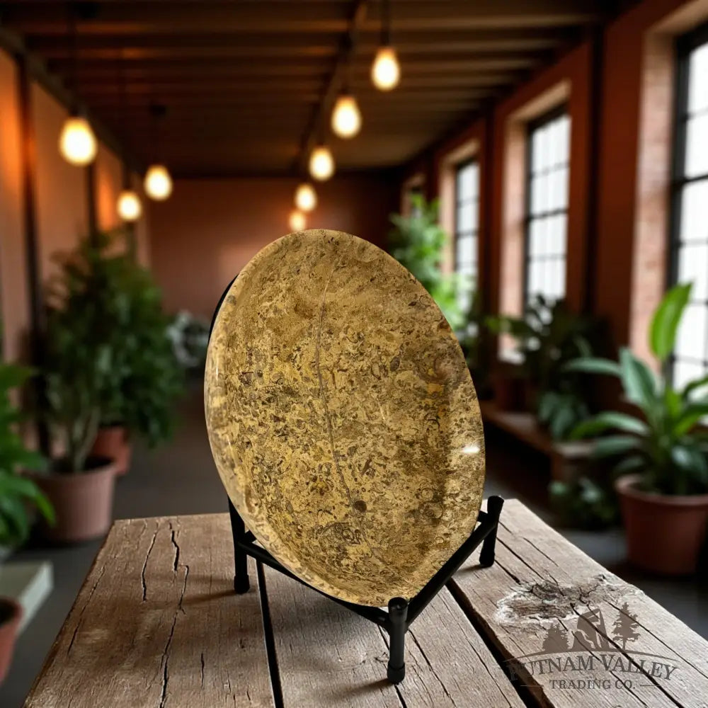 Fossil Marble Bowl - 10 Fossil Bowl