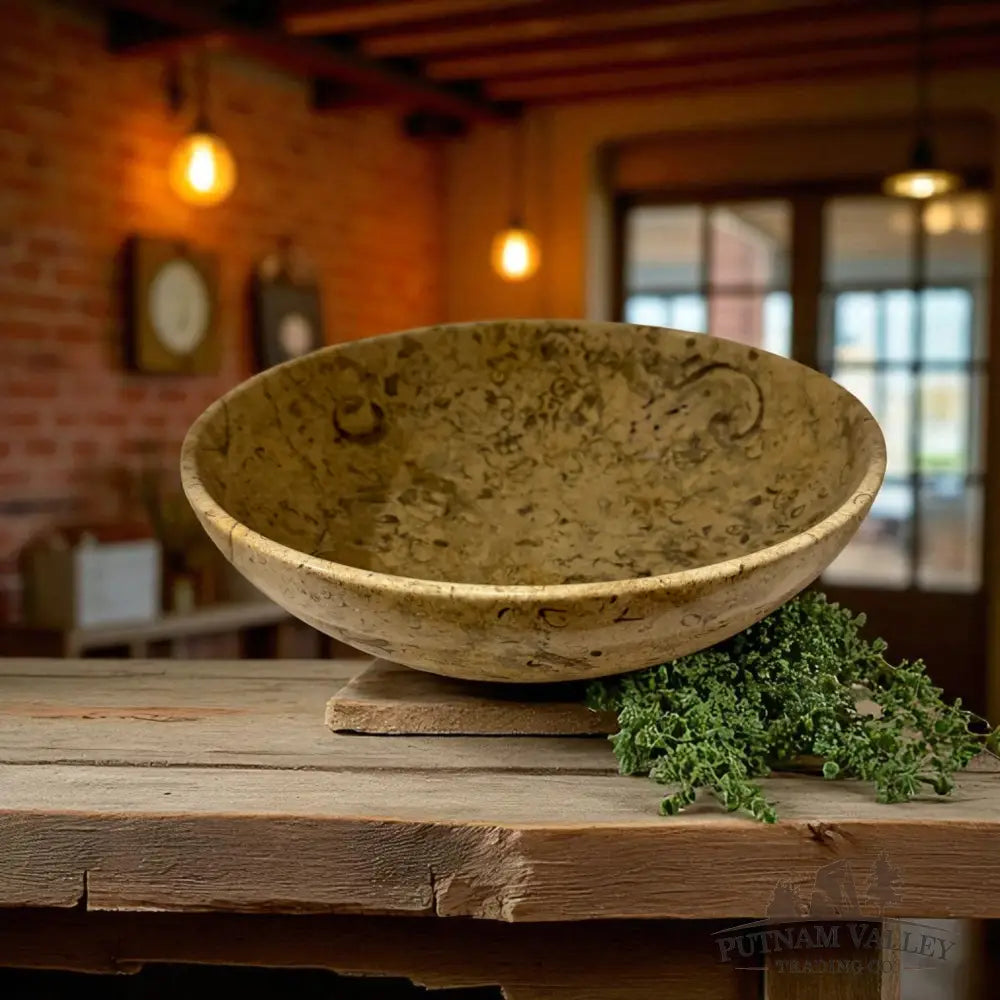 Fossil Marble Bowl - 10 Fossil Bowl