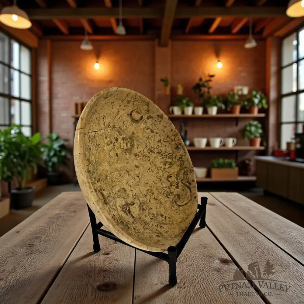 Fossil Marble Bowl - 10 Fossil Bowl