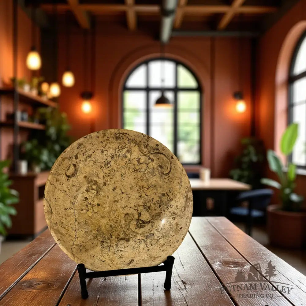 Fossil Marble Bowl - 10 Fossil Bowl