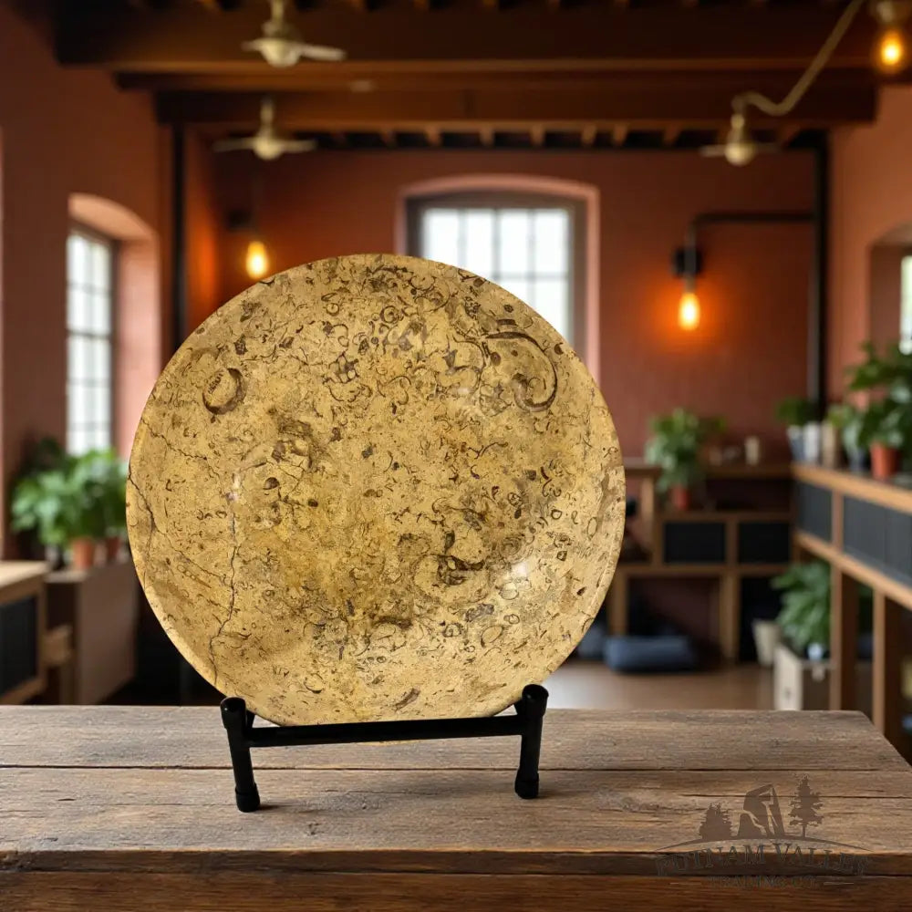 Fossil Marble Bowl - 10 Fossil Bowl