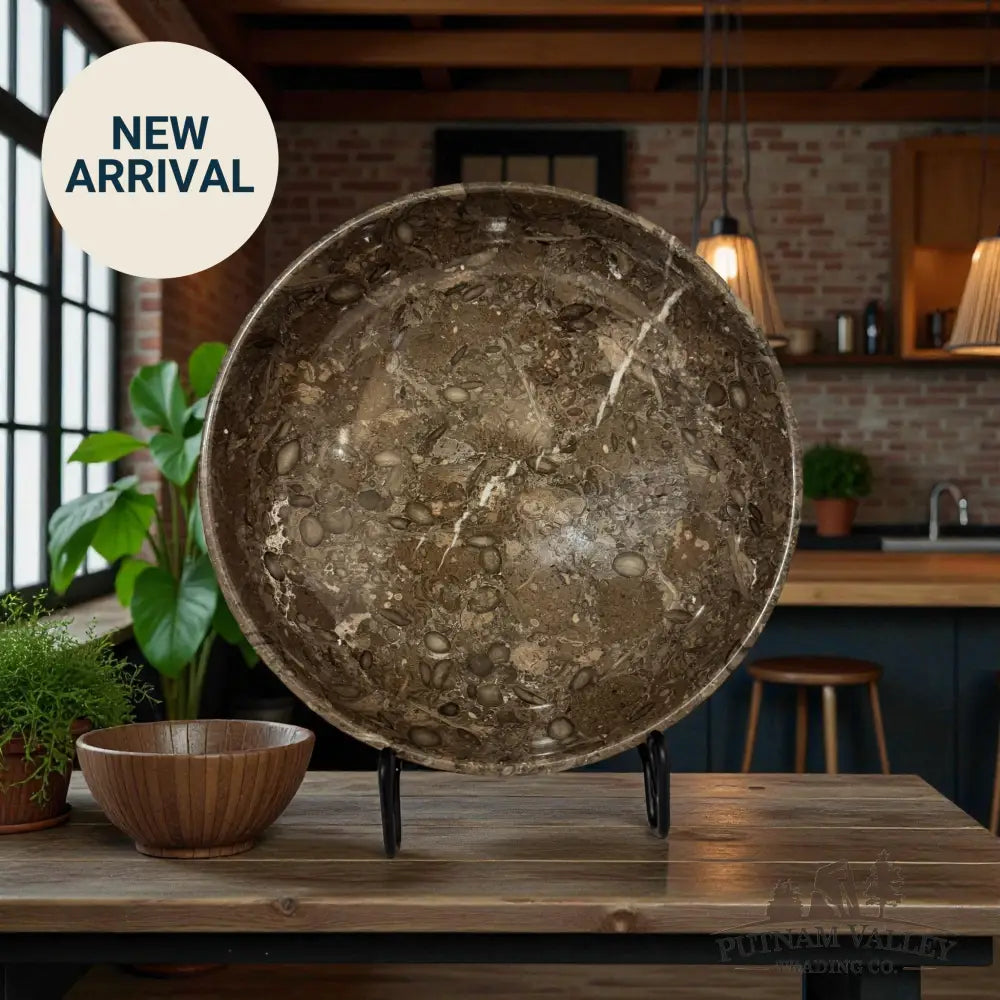 Fossil Marble Bowl 10’’ Fossil Bowl