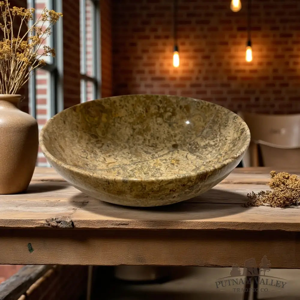 Fossil Marble Bowl - 10 Fossil Bowl