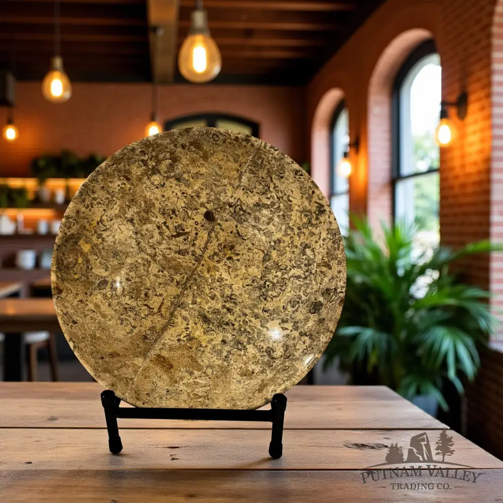 Fossil Marble Bowl - 10 Fossil Bowl