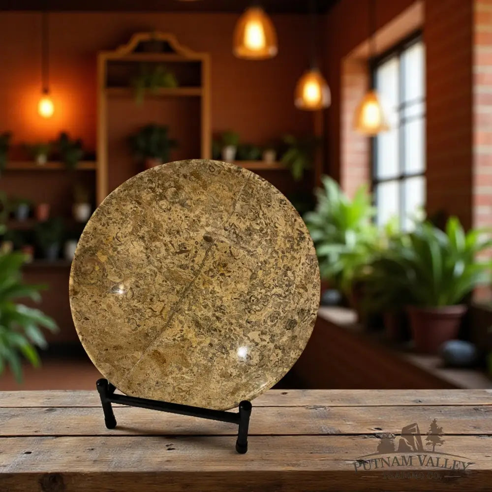 Fossil Marble Bowl - 10 Fossil Bowl