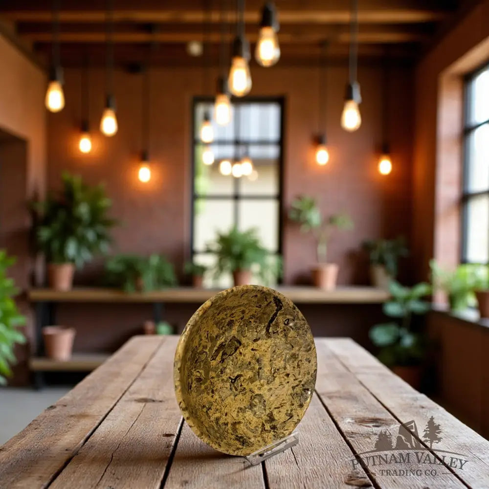 Fossil Marble Bowl - 4’’ Fossil Bowl