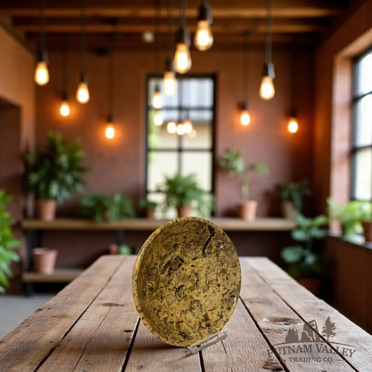 Fossil Marble Bowl - 4’’ Fossil Bowl