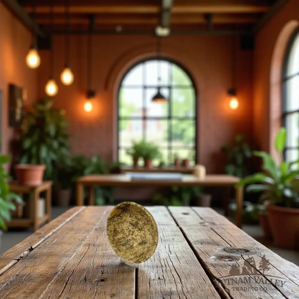 Fossil Marble Bowl - 4’’ Fossil Bowl