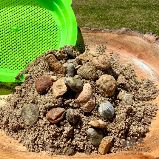 Fossil Treasure Sand Bag + Sifter - Treasure Bag