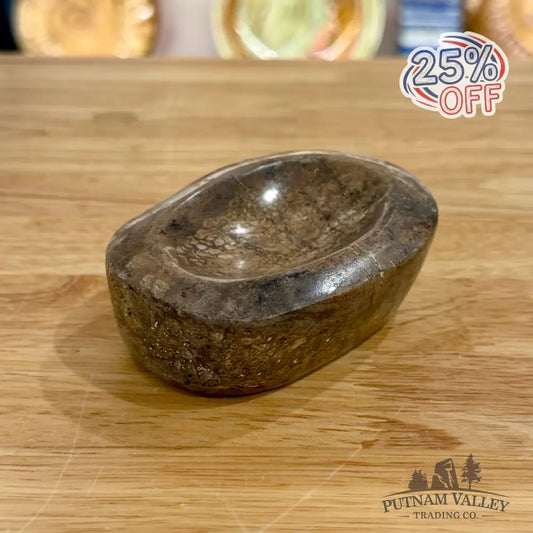 Fossilized Dinosaur Bone Bowl 3.8’’ - Fossil Bowl