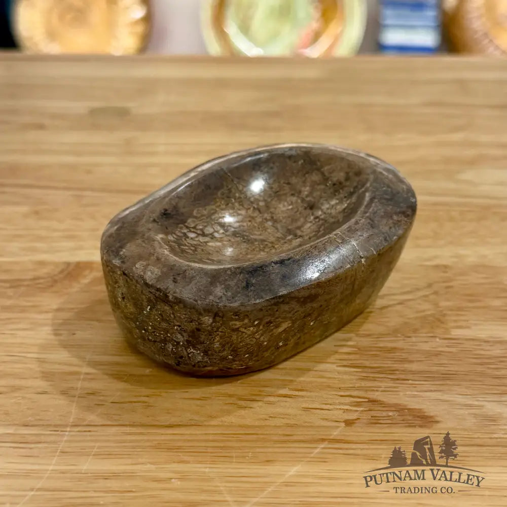 Fossilized Dinosaur Bone Bowl 3.8’’ - Fossil Bowl