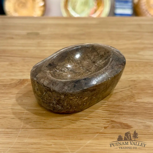 Fossilized Dinosaur Bone Bowl 3.8’’ - Fossil Bowl